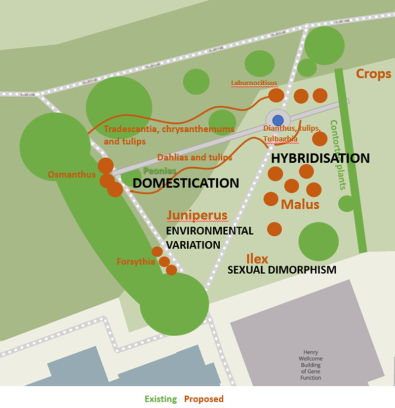 genetic garden new proposed layout